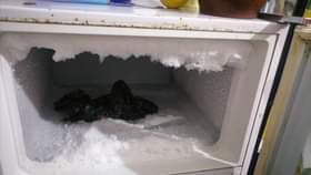 A picture of Very nice fridge for sale