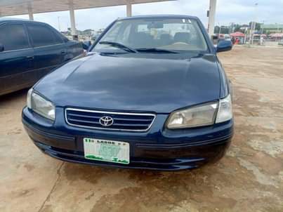 A picture of camry fish light