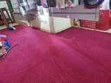 A picture of Woollen Carpet 075740870 07771452433