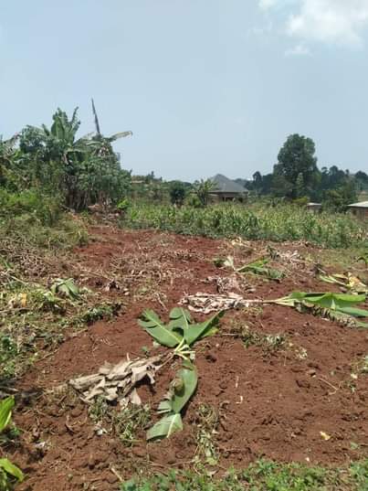 A picture of ANTI MR PROPERTY MANAGEMENT PLOT FOR SALE LOCATED AT NAKAWUKA
