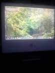 A picture of iMac