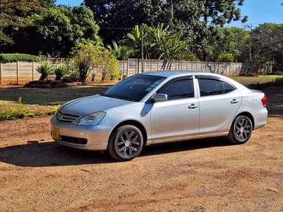 used toyota allion