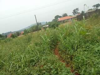 A picture of 100ft by 100ft that touches the tarmac of mukono katosi