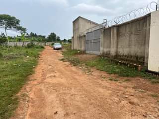 A picture of House for sale at 80m Nakasajja