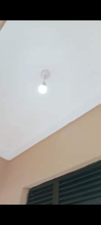 A picture of Sam