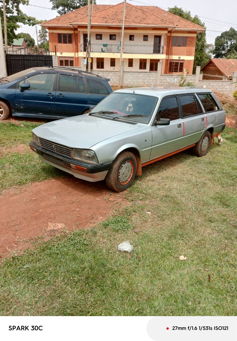A picture of Peugeot 505 estate