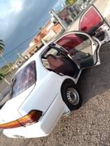 Fada B.