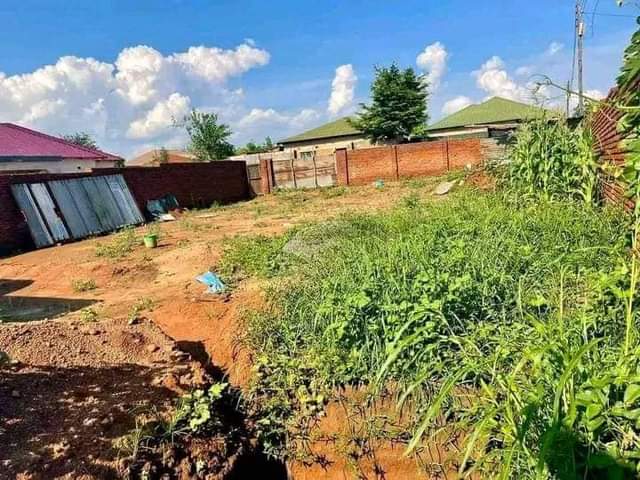 land