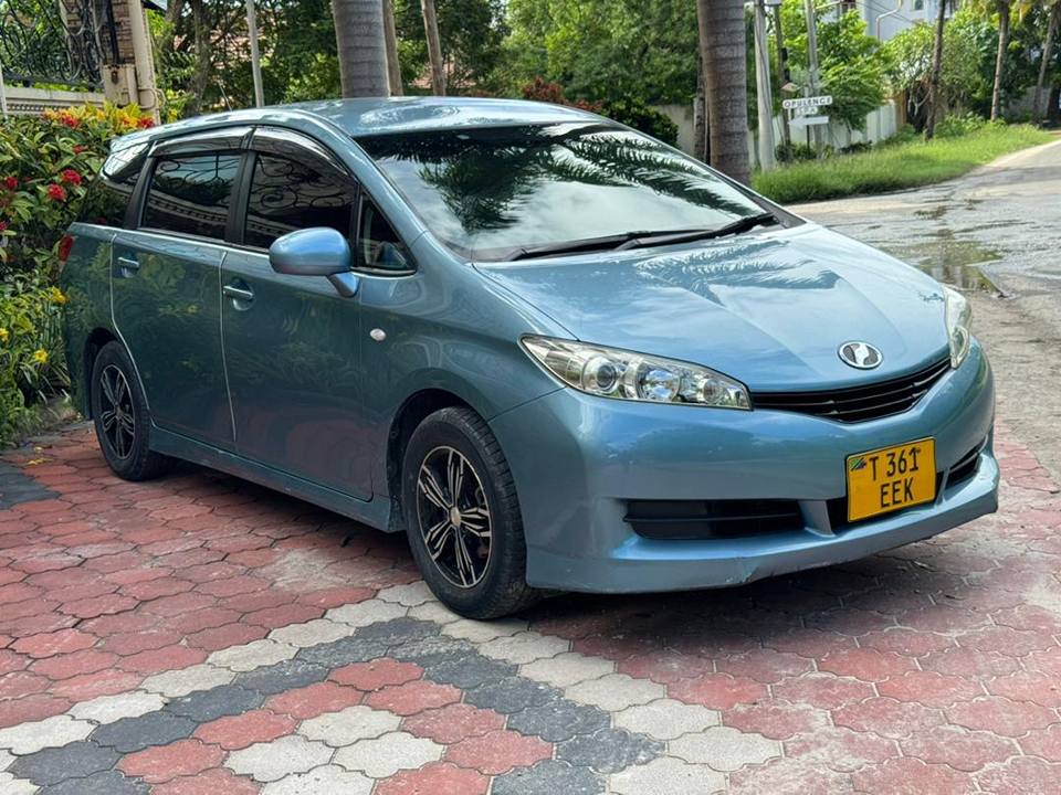A picture of 2009 Wish New Model