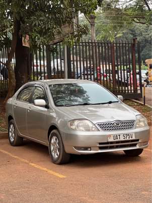 A picture of Cars