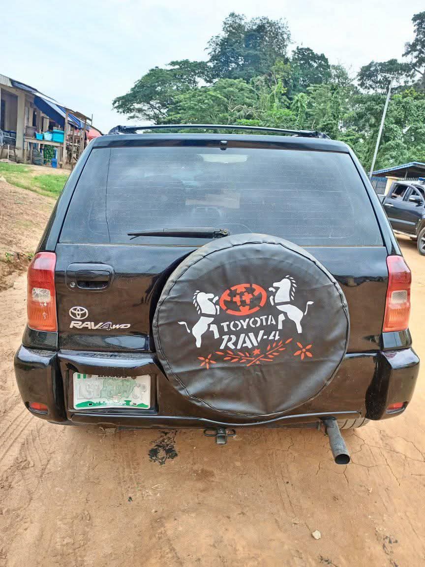 A picture of 2003 Toyota rav4