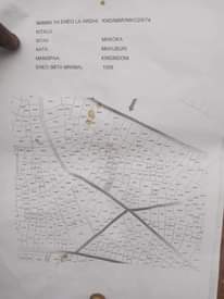 A picture of Nauza kiwanja