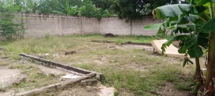 A picture of ENEO HEKARI MOJA LINAUZWA KIGAMBONI milioni 250