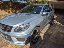 A picture of BLUETEC 2013 170M