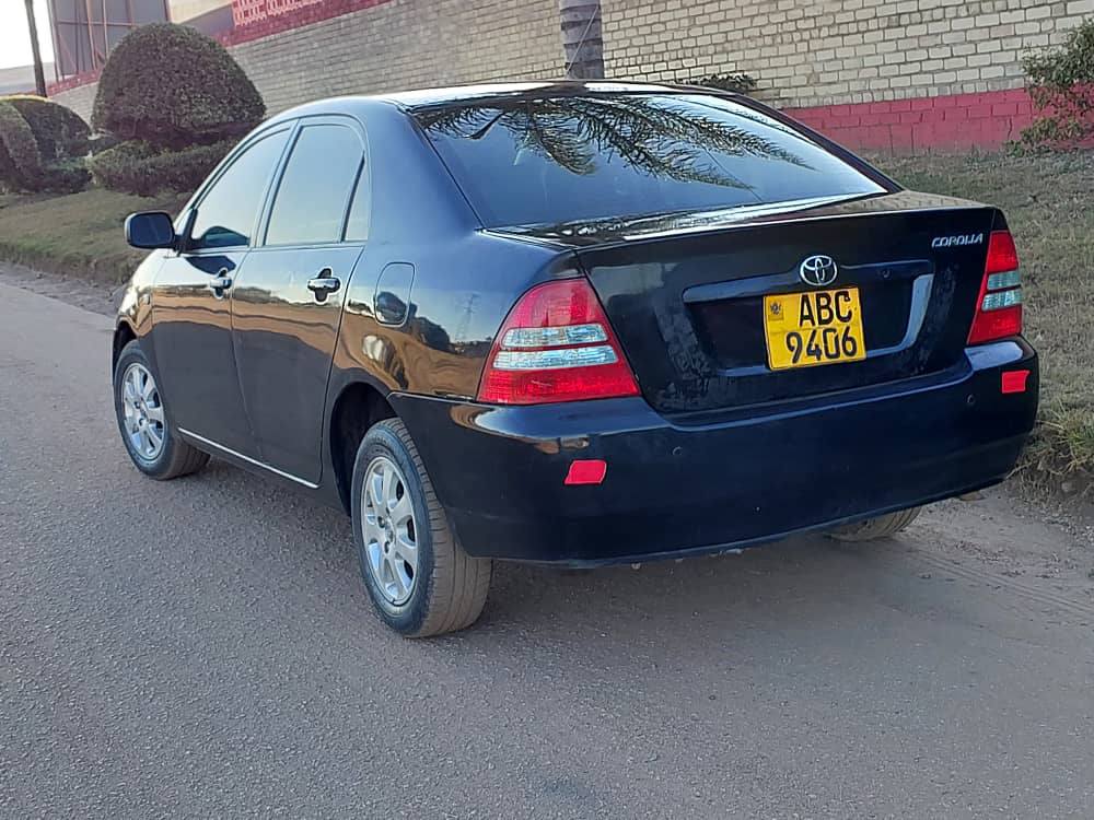 toyota corolla bubble