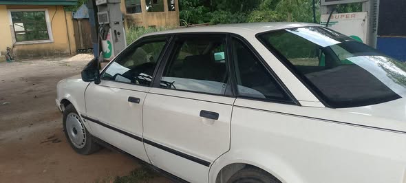 A picture of Audi tiger face