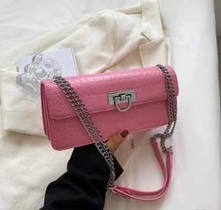 A picture of French niche chain bag