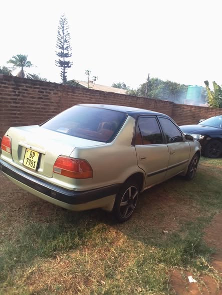 used toyota corolla