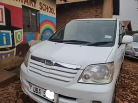 A picture of Noah 16m 0777850595 0751539549 Perfect ride