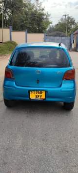 A picture of Vitz