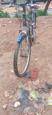 A picture of Bicycle