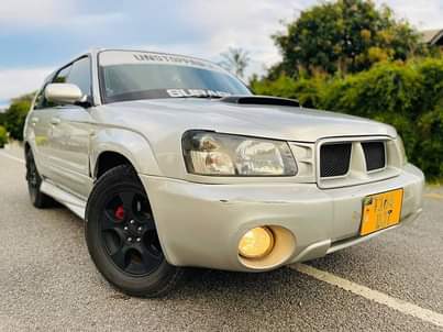 A picture of SUBARU FORESTER