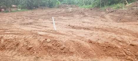 A picture of Rental plots