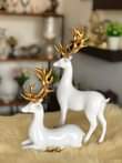 A picture of Home Decorations