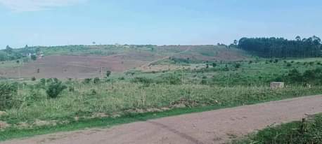 A picture of PLOTS FOR SALE LOCATED WAKISO GOBERO MAIN ROAD HIGHWAY 