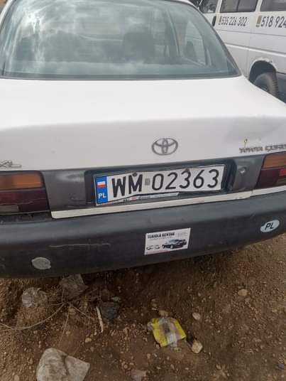 A picture of Please call 07036995190 This direct Belgium