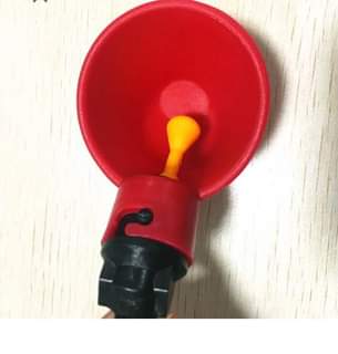 A picture of Automatic drinking system