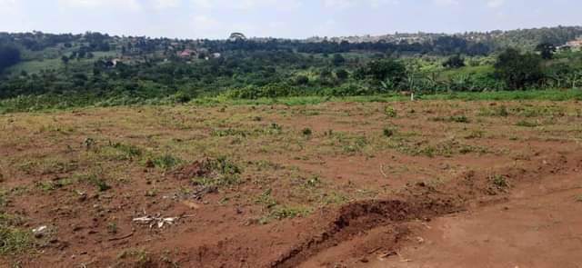A picture of AFFORDABLE PLOTS IN WAKISO TOWN NKOWE