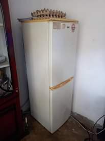 A picture of Friji
