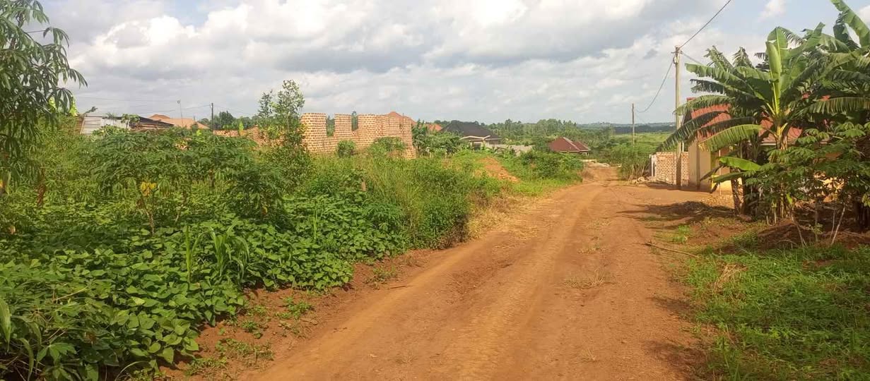 A picture of Plot 4 Sale