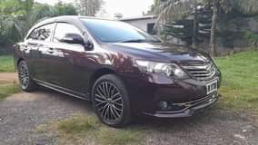 used toyota allion