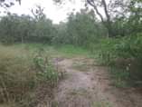 A picture of SHAMBA HEKA 5 LINAUZWA KILA HEKA TSH 200 000 LIPO