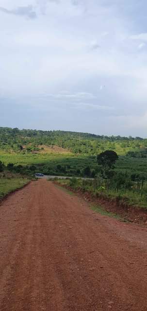 A picture of KAKIIRI GOBERO TARMAC VIEW ESTATE 17m 50100fts With TITLE