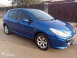 A picture of Clean 307 Peugeot