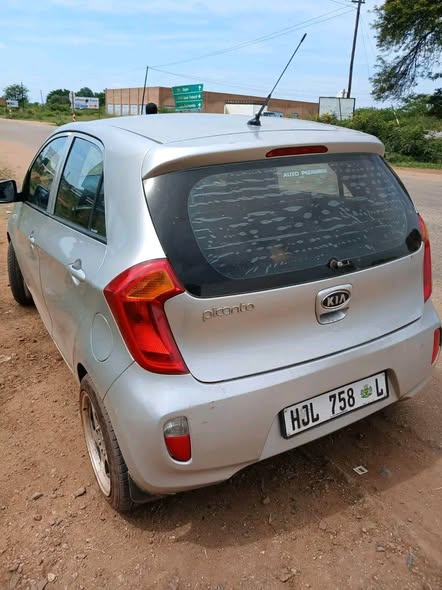 kia picanto under r50000