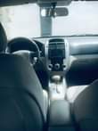 A picture of cerato