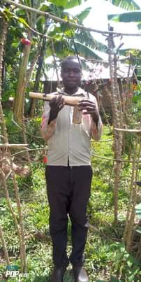 A picture of Ug