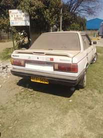 used nissan sunny