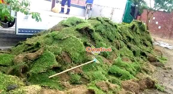 landscaping ssrvices