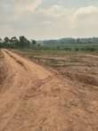 A picture of Matuga Kilyagonja Estate
