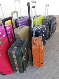 A picture of Bags