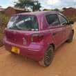 A picture of Vitz