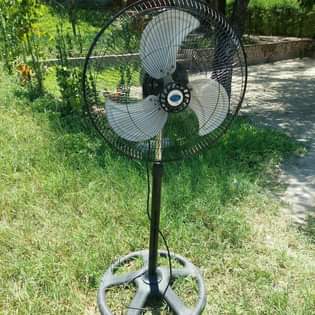fans