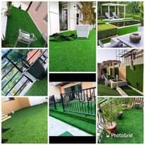 A picture of Grass carpet