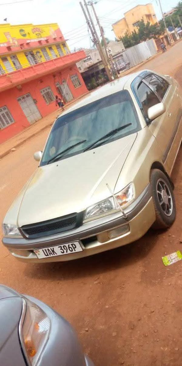 A picture of Premio ordinary 8.5
