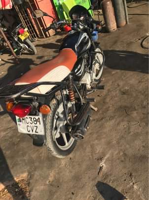 A picture of Pikipk